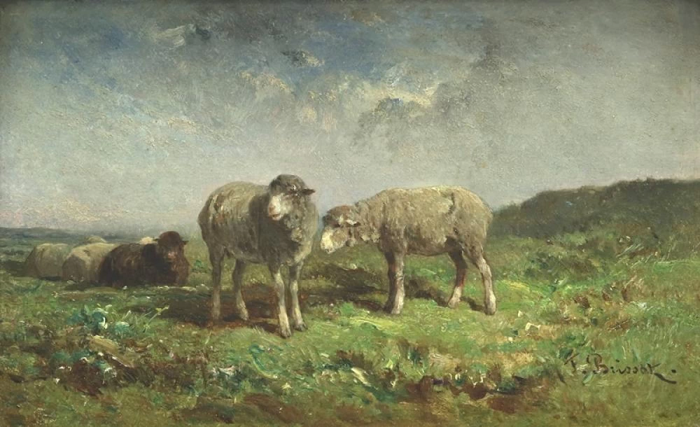 Piccolo gregge di pecore in un ampio paesaggio